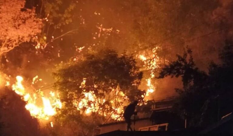 Amendolara, notte di fuoco: domato il vasto incendio. La sindaca Acciardi: “Tutti salvi, grazie a chi ha lottato con coraggio”